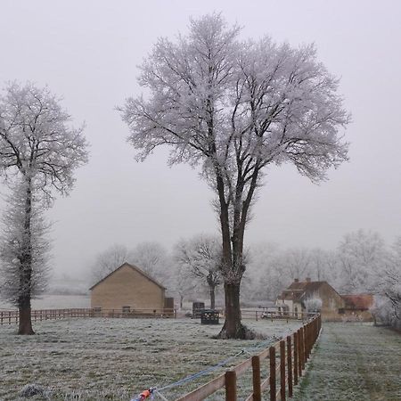 Bienvenue A La Grenouillere Villa Le Magny  Exteriör bild