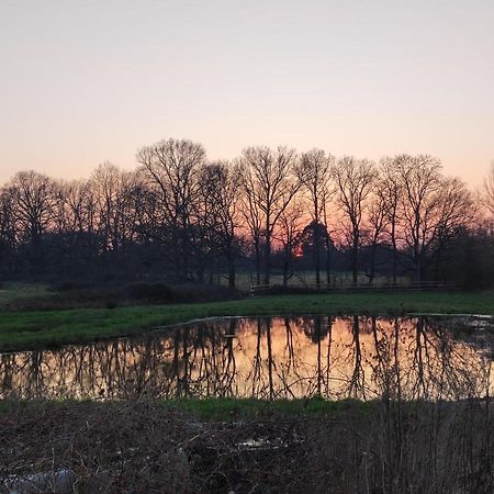 Bienvenue A La Grenouillere Villa Le Magny  Exteriör bild