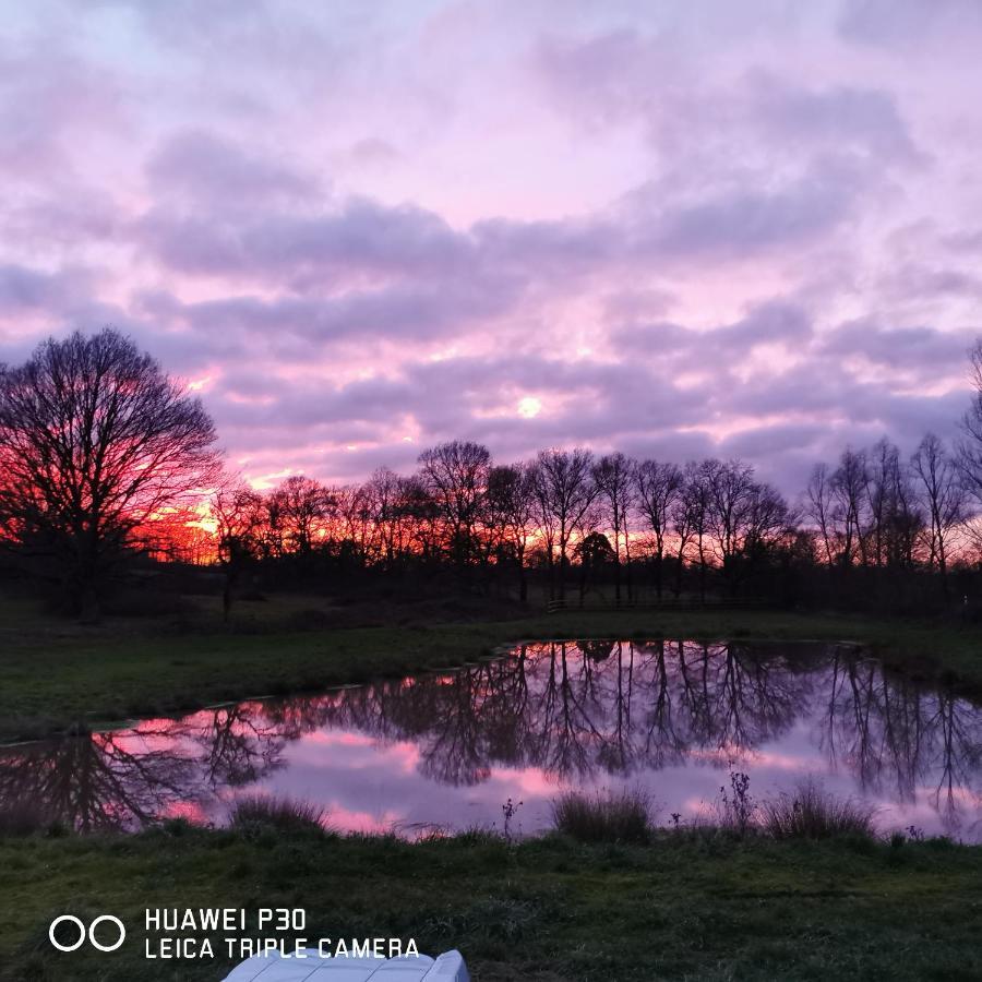 Bienvenue A La Grenouillere Villa Le Magny  Exteriör bild